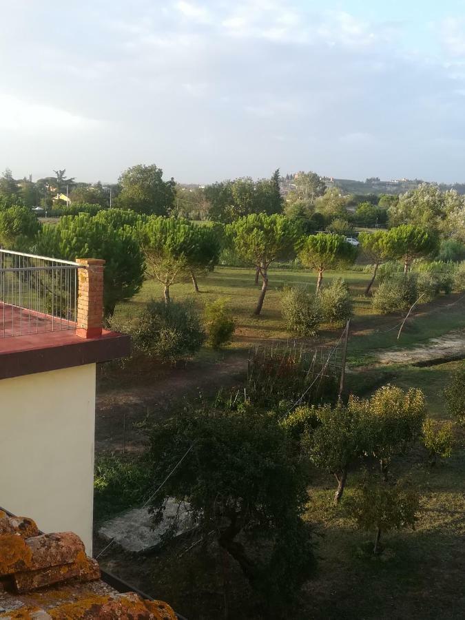 Appartement Casa Tafi à Castelfiorentino Extérieur photo
